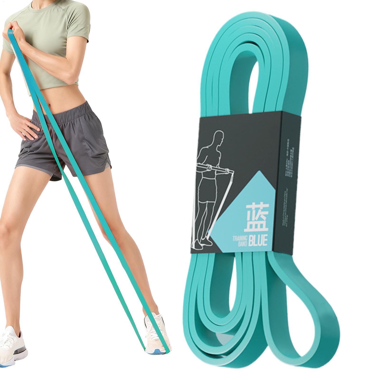Workout Resistance Bands Elast - огляд і ціна Home Gym Resistance Machine
